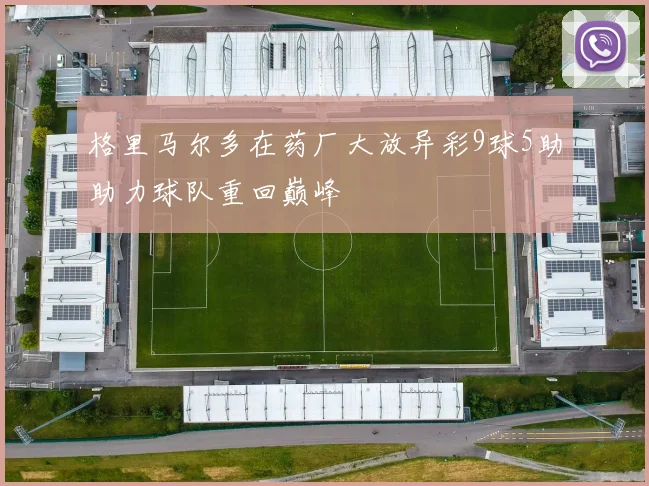 格里马尔多在药厂大放异彩9球5助助力球队重回巅峰