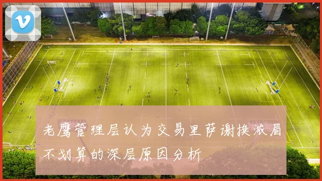 老鹰管理层认为交易里萨谢换浓眉不划算的深层原因分析