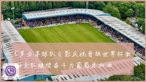 C罗分享球队合影庆祝晋级世界杯激励全队继续奋斗为葡萄牙加油